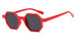 polygonic thick frame retro sunglasses