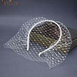 birdcage veil with rhinetsones blusher veil