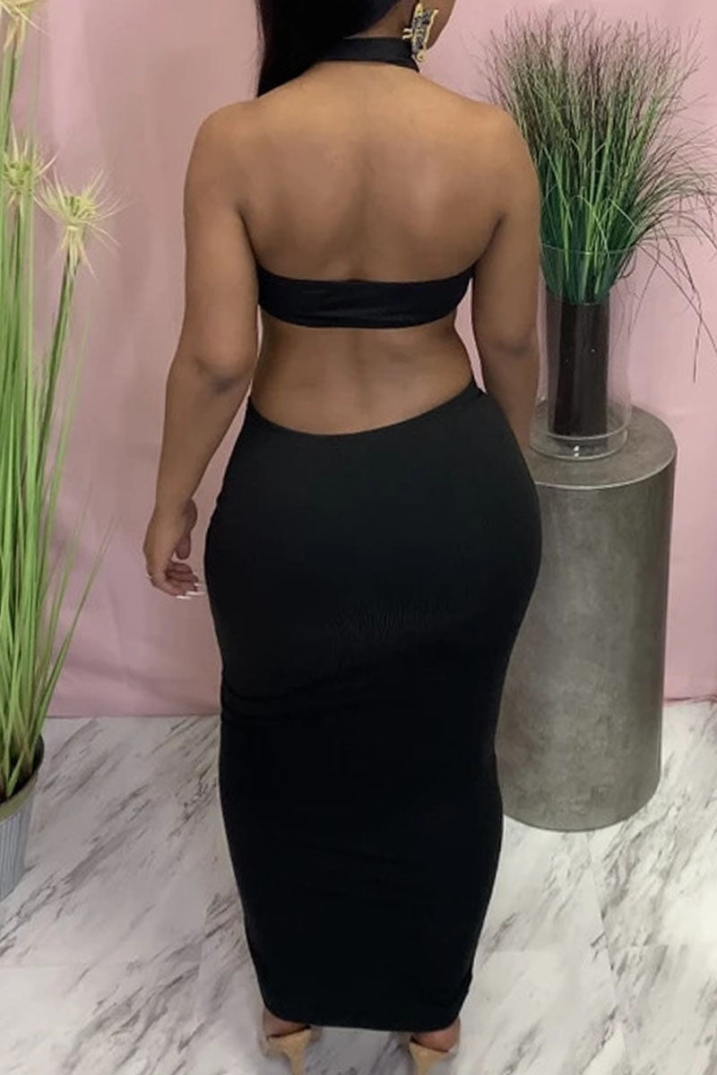 Sexy Solid Split Joint Backless Halter Sleeveless Two Pieces
