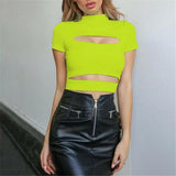 solid hollow out turtleneck short sleeve crop top