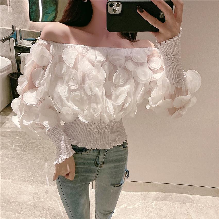 vintage 3d flower mesh sheer puff sleeve off shoulder blouse