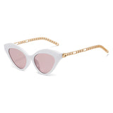 hollow out arm acrylic frame cat eye sunglasses