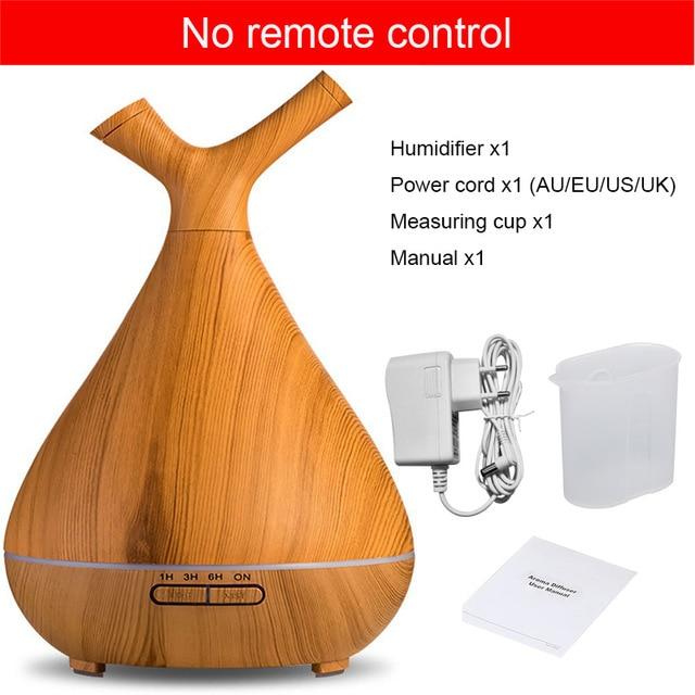 No remote control 2